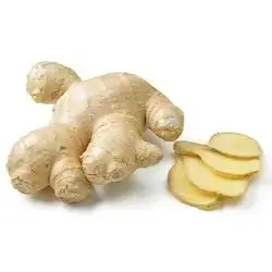 Ginger