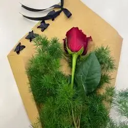 روز