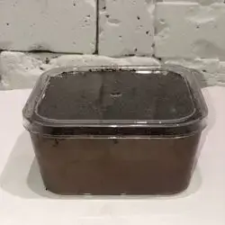 French Custard