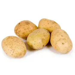 Iraqi Potato