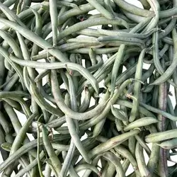 Green Bean