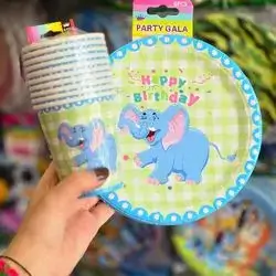 disposable paper plate & cup