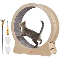 Cat Running Wheel
