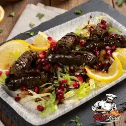 Stuffed Grape Leaves