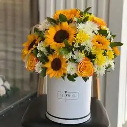 بۆکسی گوڵی سروشتی
