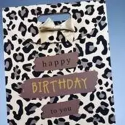Gift Bag  