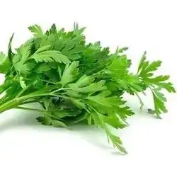 Fresh Krafs Bunch