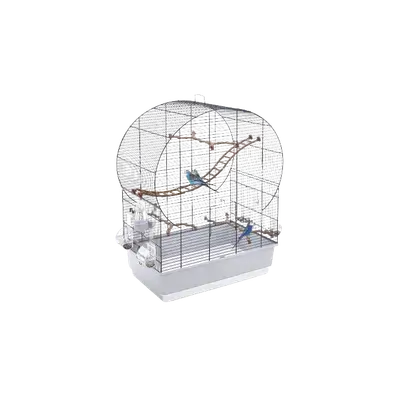 Bird Cage – White & Blue