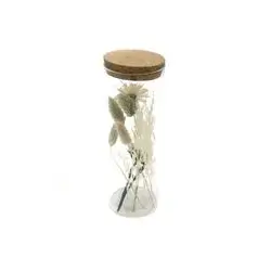 Dry Flower In Tube 8X8X24Cm