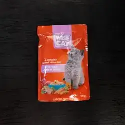 Wise cat