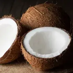 Coconut