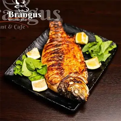 Carp Fish