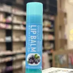 Fruit Lipstick  Lipcare Stick Balm - Blueberry