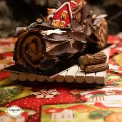 chocolate christmas bushe