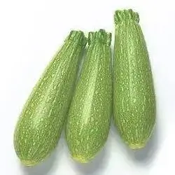 Zucchini