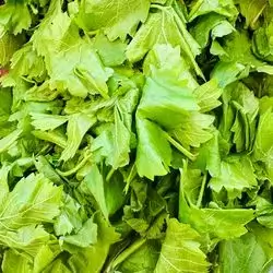 Grape Leaves -250G