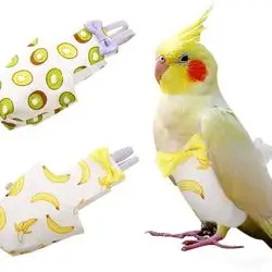 Bird Diaper