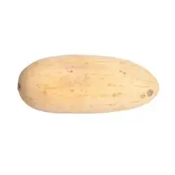 Long Melon