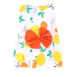 Pet Clothes