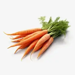 Carrots