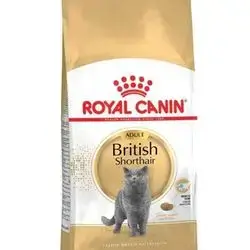 Royal canine adult British shorthair 2kg