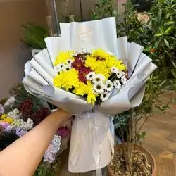 Mix Dawoodi