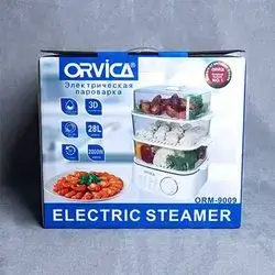Electric Steam
