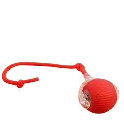 E615 Toy Ball For Pet