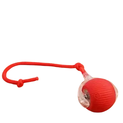 E615 Toy Ball For Pet