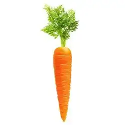 Turkish Carrot