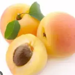 Apricot