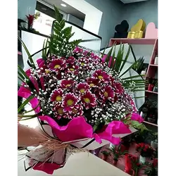 Purple Flowers