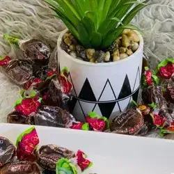 Sour Apricot Bread Chocolate
