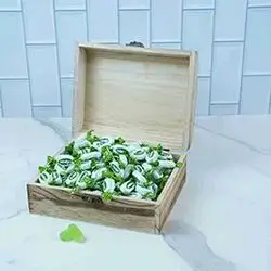 Msqul Mint Without Sugar