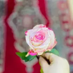 Natural Flower 1 Piece