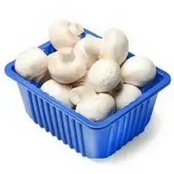 Fresh Mushrooms