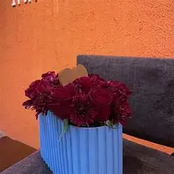 Flower Box