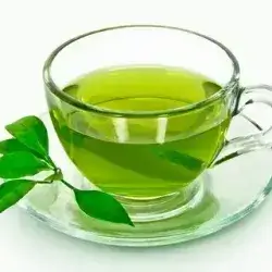 Green Tea Leaf