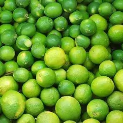 Iraqi Lemon