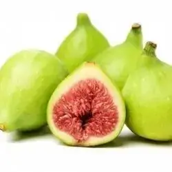 Taq Taq Fig