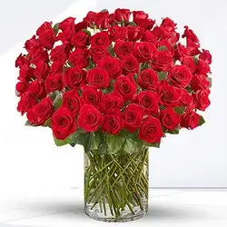 Red Roses