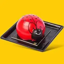 Ladybug Cake