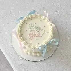 Gender Reveal Cake - 3 Person
