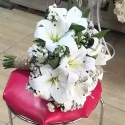 The Bride's Flower-White