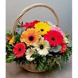 Basket of Mix Flowers