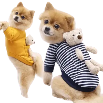 167 Pet Clothes