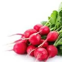 Radish
