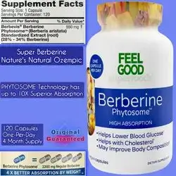 Berberine Phytosome, Pure and Potent Berberine, upto 10X Bioavailability and Absorption, Superior Berberine Superfood, Blood Sugar, Cholesterol, Weight Loss and management, antimicrobial, insulin sensitivity, digestive health, 120 Capsules berberine