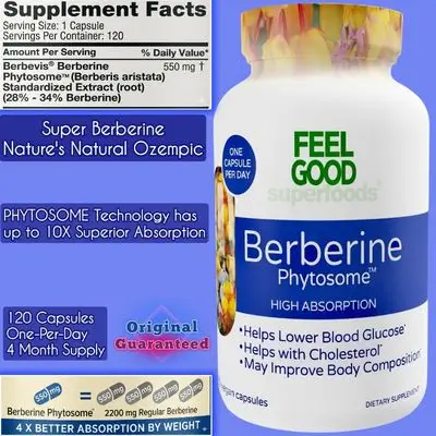 Berberine Phytosome, Pure and Potent Berberine, upto 10X Bioavailability and Absorption, Superior Berberine Superfood, Blood Sugar, Cholesterol, Weight Loss and management, antimicrobial, insulin sensitivity, digestive health, 120 Capsules berberine