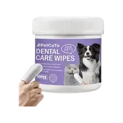 E164 Dental Care Wipe 50Pcs
